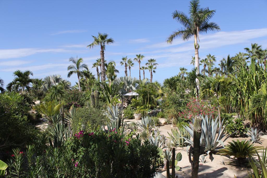 Hotel Posada La Poza Todos Santos Exterior photo