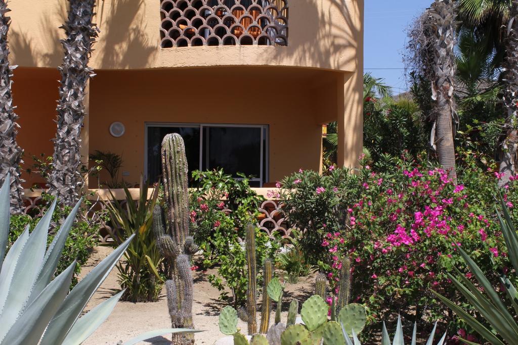 Hotel Posada La Poza Todos Santos Room photo