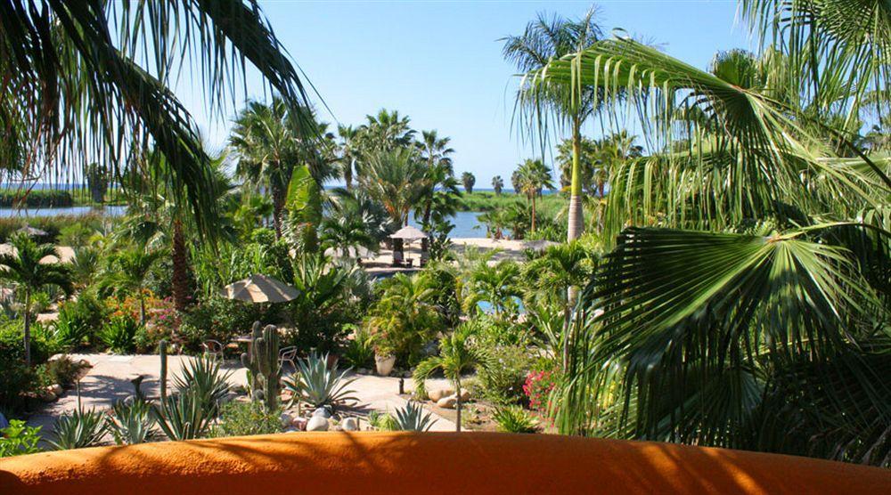 Hotel Posada La Poza Todos Santos Exterior photo